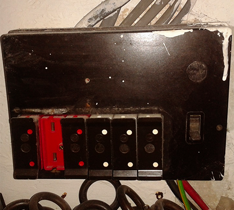 zdj1